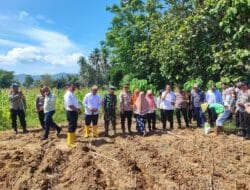 Dukung Ketahanan Pangan, Kapolresta Gorontalo Kota menanam Jagung Bersama PJU dan Forkopimda
