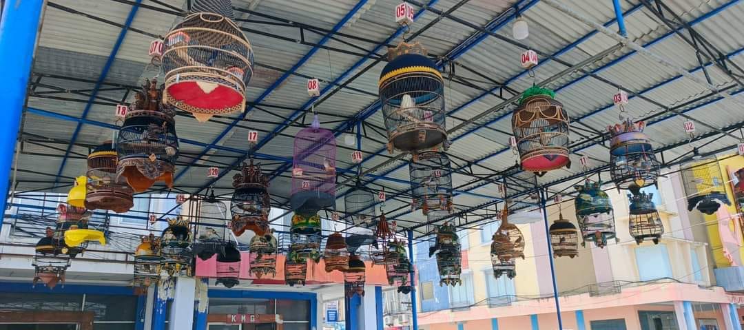 Tercatat ada 50 peserta yang berpartisipasi dalam lomba burung perkutut. Selain peserta dari kota Gorontalo, beberapa peserta dari Kabupaten Gorontalo dan Kabupaten Pohuwato juga ikut serta meramaikan acara tersebut.