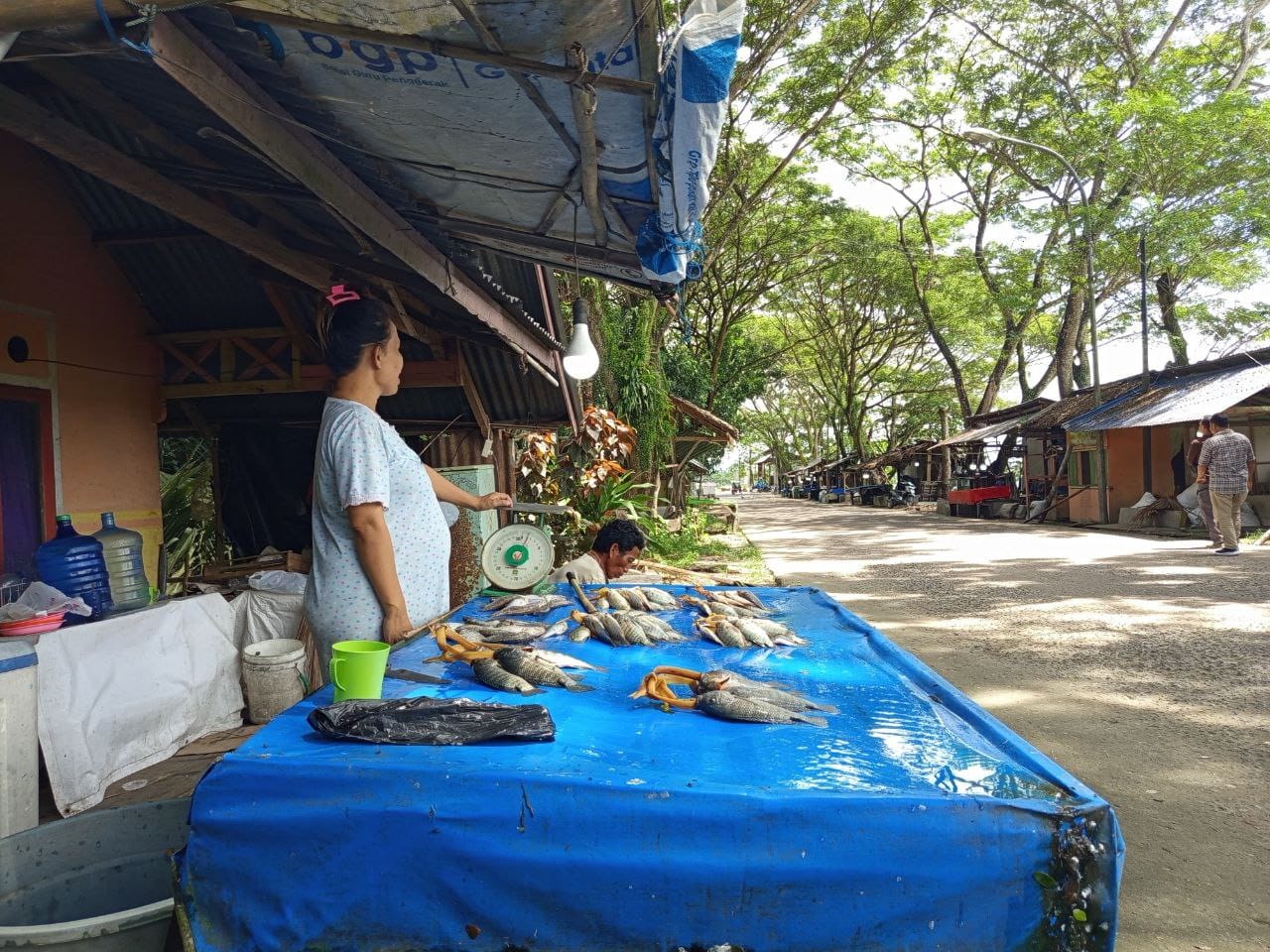 Penjual Ikan di jalan Reformasi, Kel. Hutuo Kec. Limboto (F . Yayan)