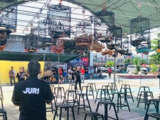 KMG Gelar Lomba Burung se-Sulawesi, Hadiah Rp40 Juta dan dimeriahkan Ratusan Kicau Mania