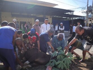 Polresta Gorontalo Kota Tebar Kepedulian Lewat Kurban: 7 Hewan Disembelih, 170 Penerima Terbantu