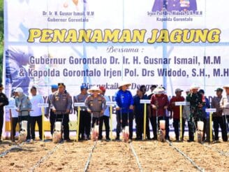 Kapolda Gorontalo Hadiri Penanaman Jagung Dukung Program Ketahanan Pangan
‎
