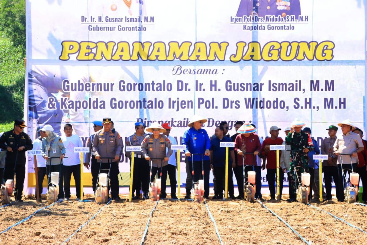 Kapolda bersama Gubernur Gorontalo, saat melaksanakan Tanam Jagung,Dukung Ketahanan Pangan Daerah ( Foto: Hms)