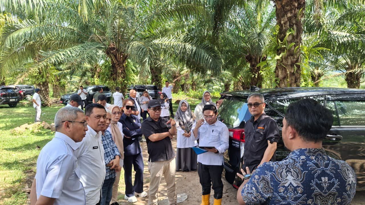 KPK dan DPRD Provinsi Saat Meninjau di lahan Perkebunan Kelapa Sawit